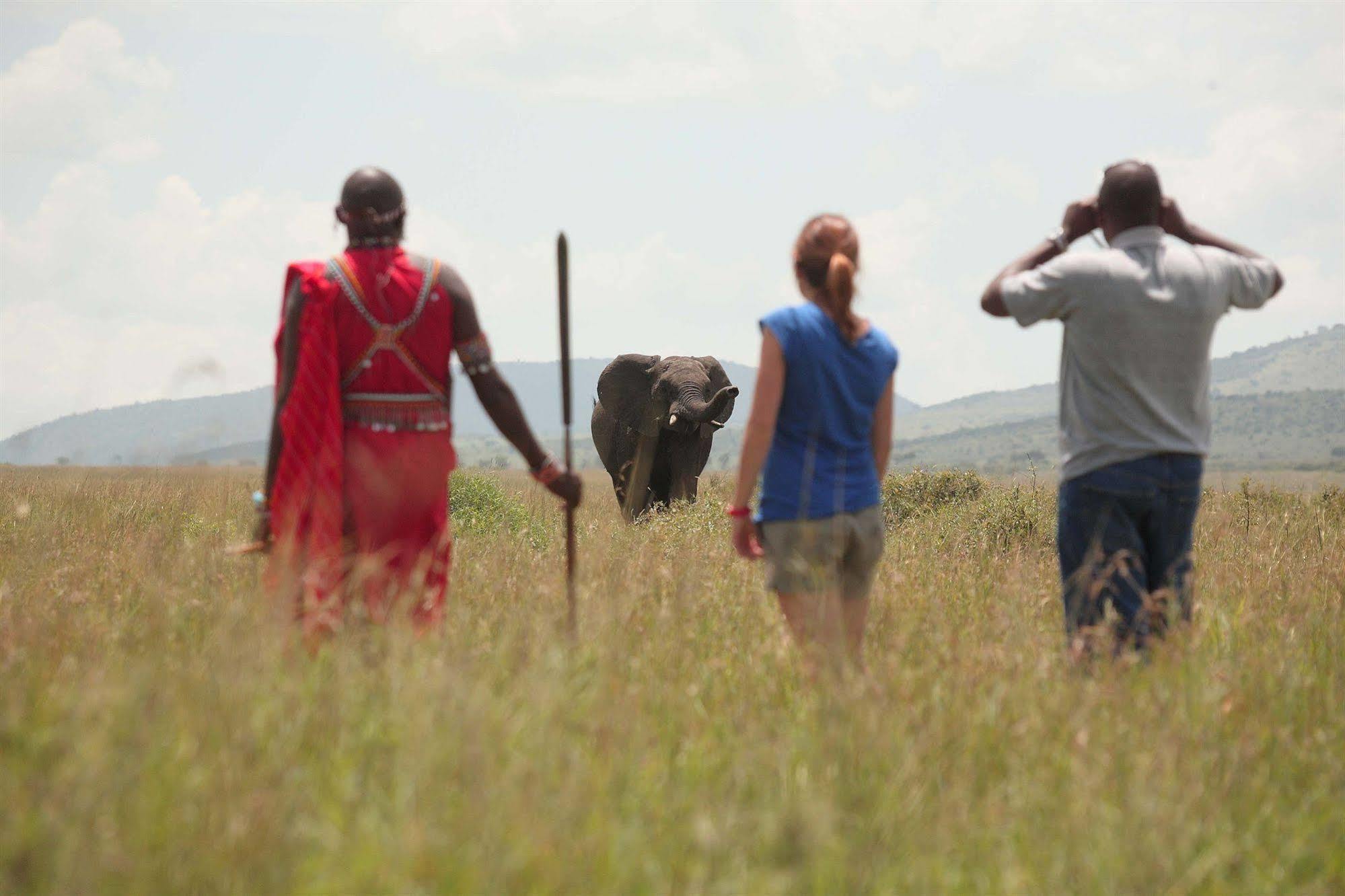 Sarova Mara Game Camp Βίλα Sekenani Εξωτερικό φωτογραφία